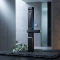 Fingerprint Double Two Side Waterproof Outdoor Smart Door Lock SUS Material for Slim Aluminum Swing Sliding Lock ,Long Lasting — Studio Shot